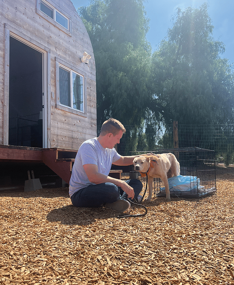 Pumpkin and Rocky in Flip Farm